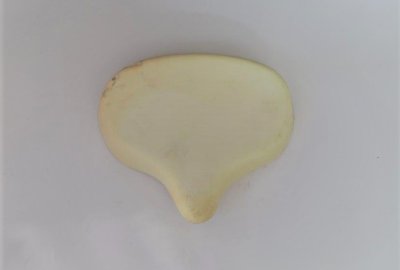 Pianka przedniego siedzenia, Jawa Perak